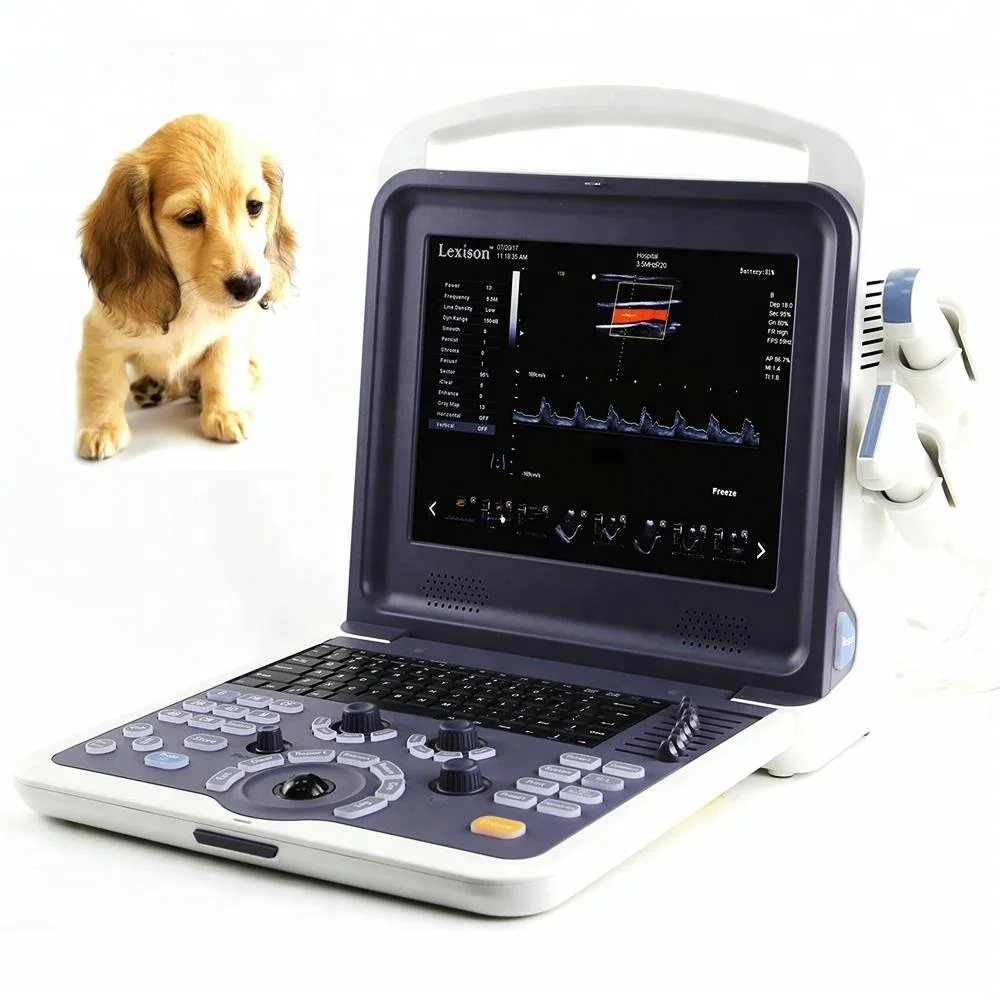 PRUS-WK60 High Quality Veterinary Color Doppler Veterinary Ultrasound Machine