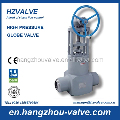 High pressure steam motorized globe valve