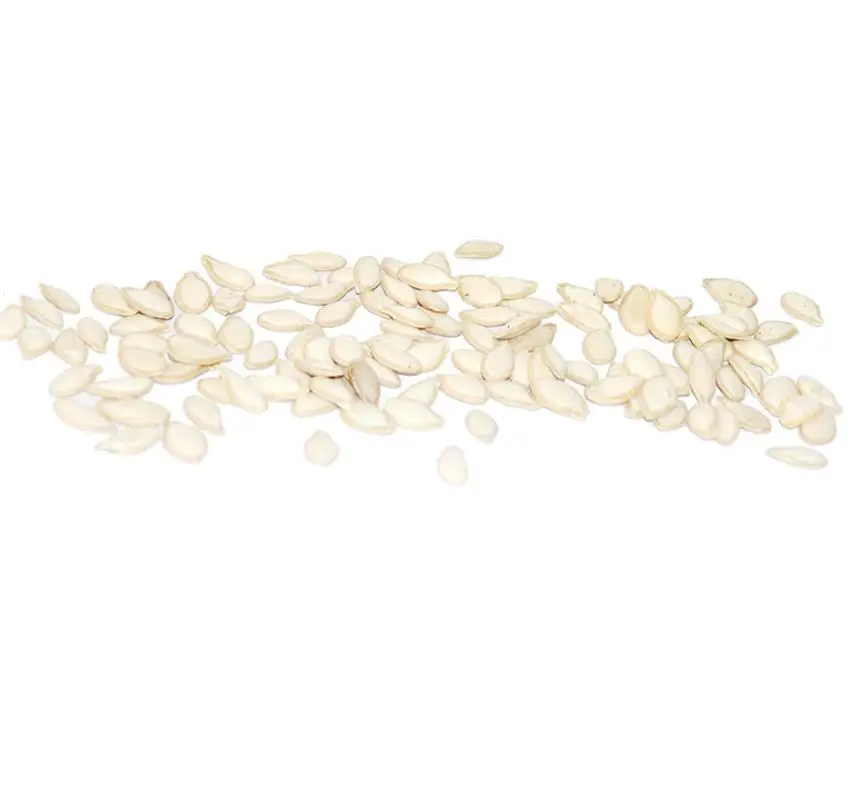 
600 seeds/tin China High Yield Spot Supply Natural raw Pumpkin Seeds for planting 