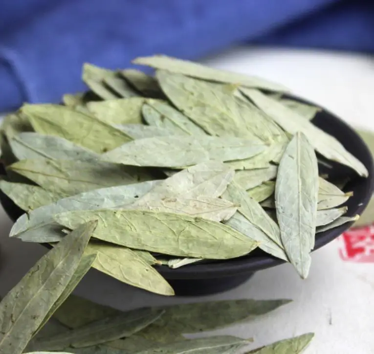 High quality raw Dried natural Indian Senna leaves