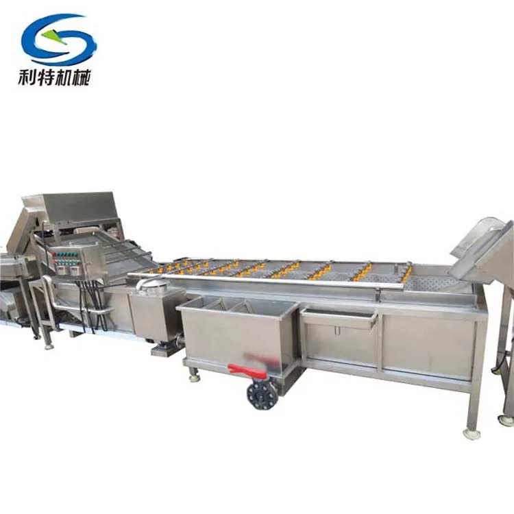 Машина для мытья и сортировки фруктов включает апельсиновые фрукты