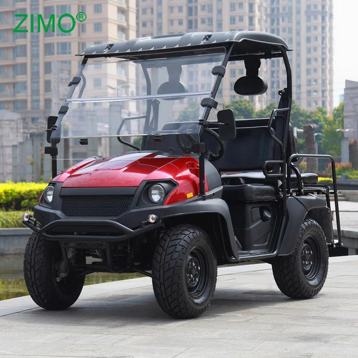 EEC утвержден 4KW 5KW дешевые Электрический утилитарный мотовездеход