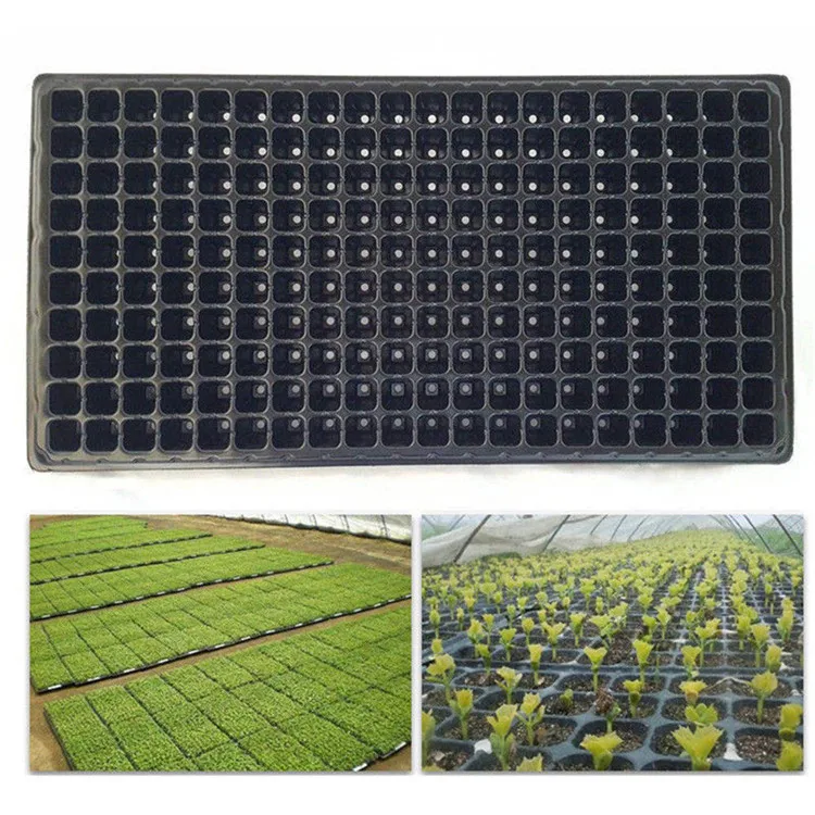 200 Cell Seedling Starter Tray Seed Germination