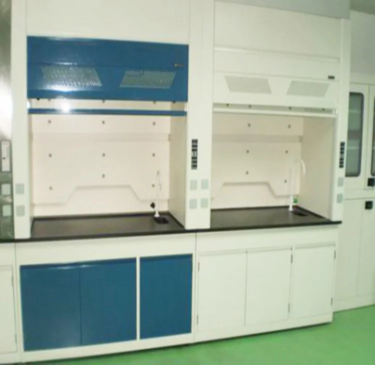 Walk in Steel Chemical Laboratory Fume Hood / chemical fume cupboard mobile fume hood price china