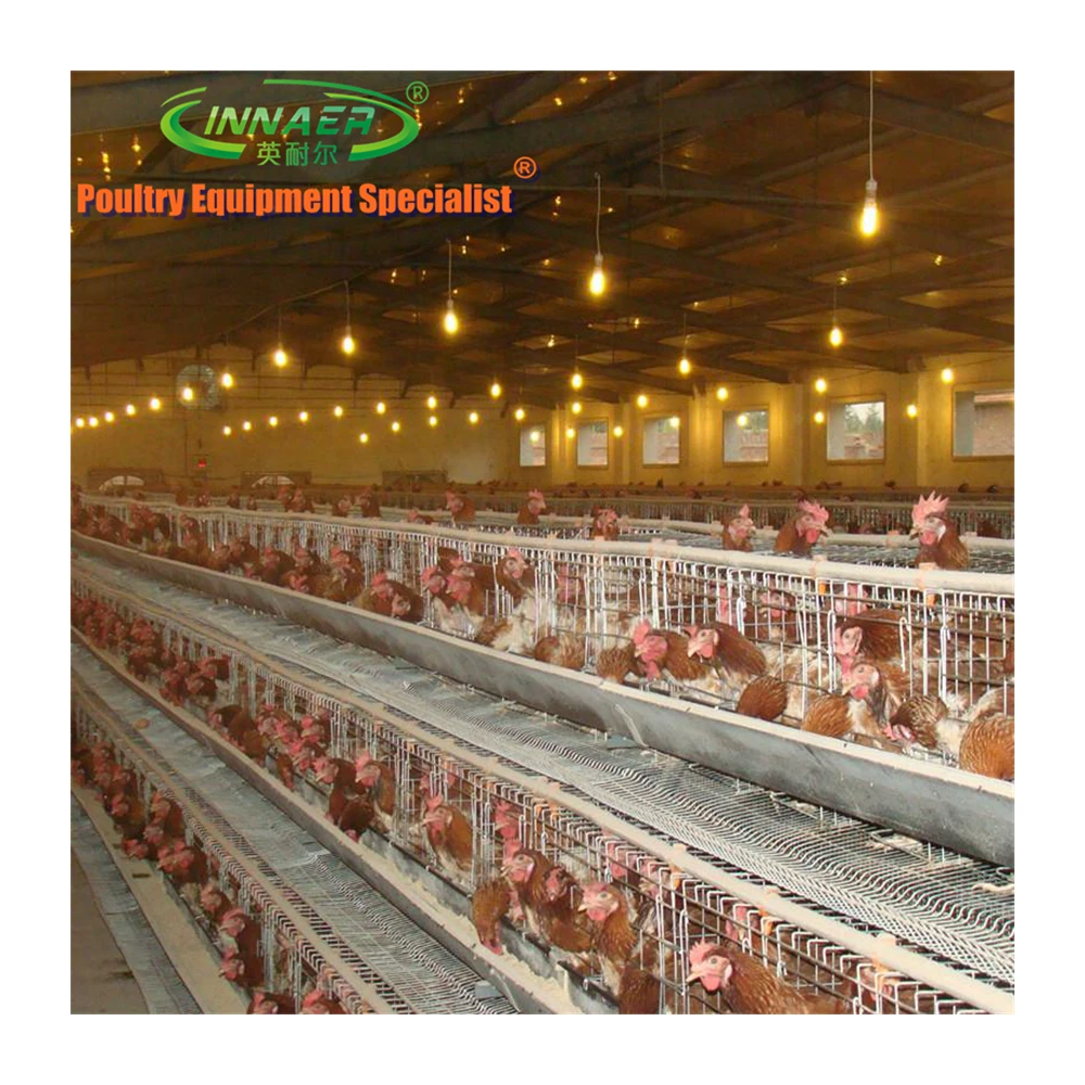 best selling second hand layer poultry cages