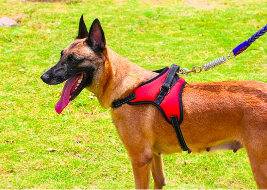 dogs harness and leash set USA Hot Trending Safety Reversibly tactical Dog Pet Harness Set for Safety Pet Vest Walking