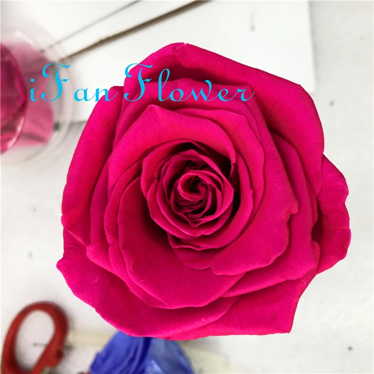 iFan Flower Japan factory preserved rose flower