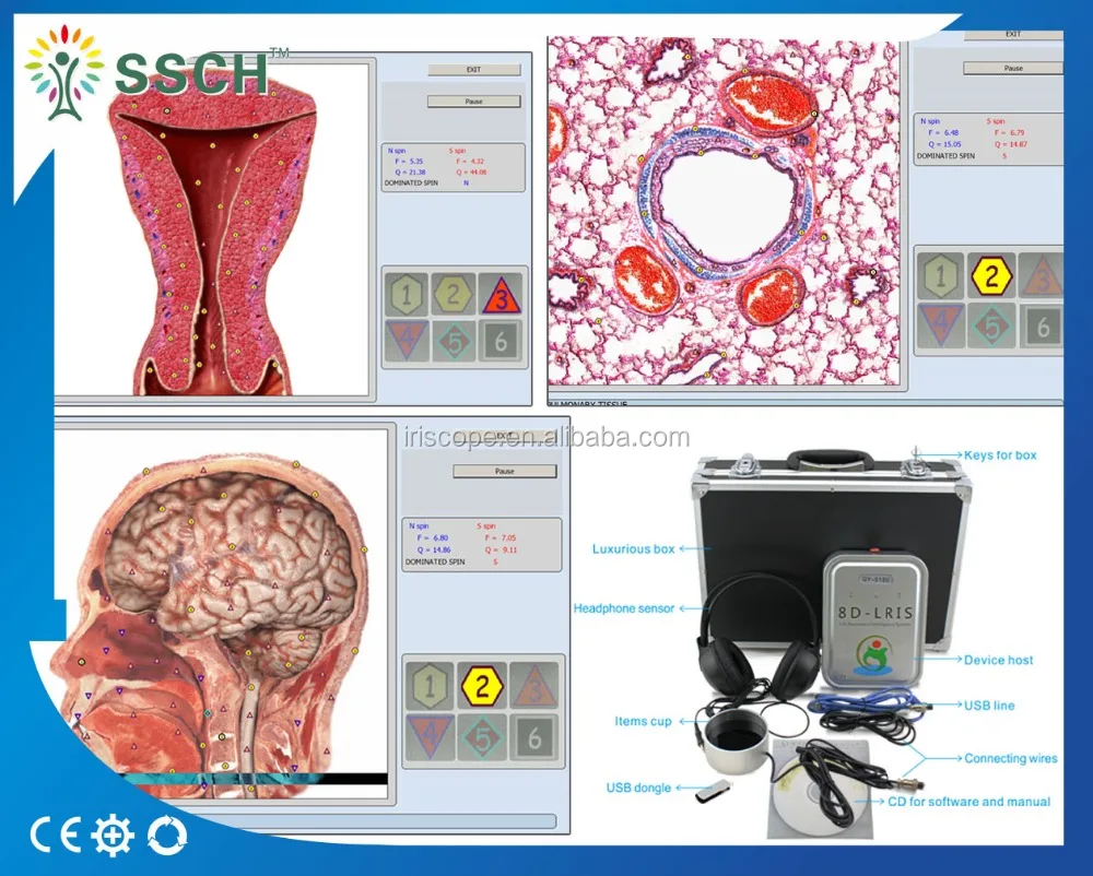 8D NLS body health analyzer with Aura and chakra software