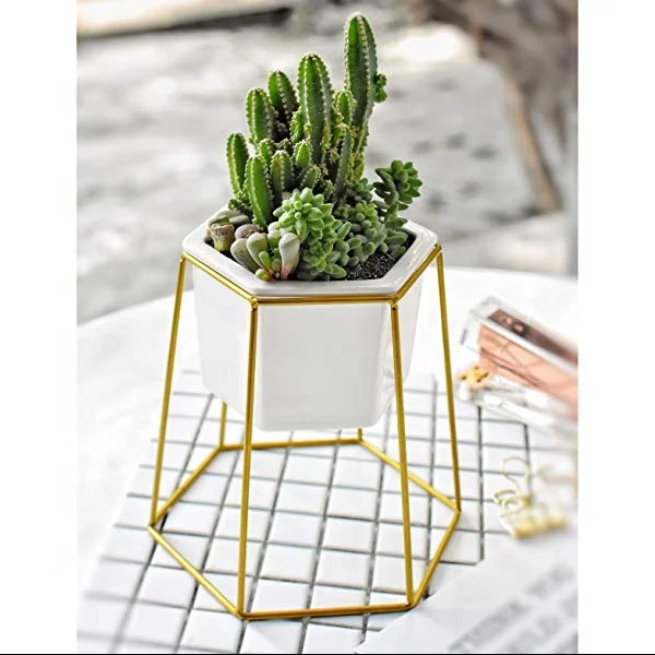 OEM 551-17 Modern Design Gold Hexagon Planter Flower Pot Holder Metal Iron Rack for Succulents Herbs Cactus Plants