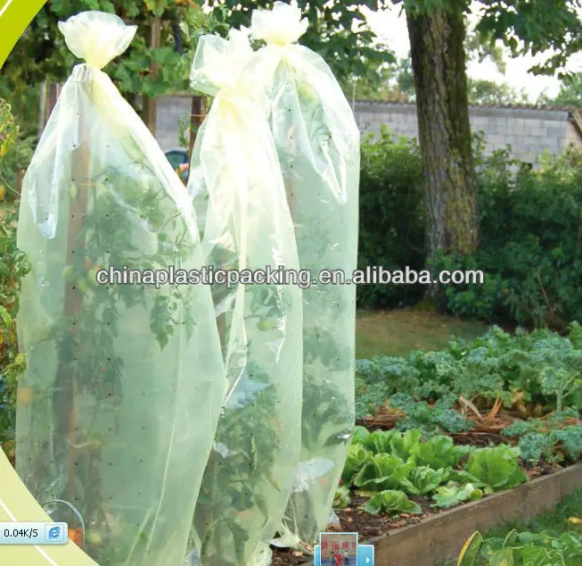 PE Agricultural Tomato tube Green house with holes to protective