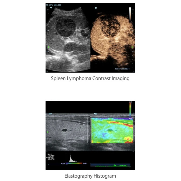 High quality Mindray color doppler portable ultrasound machine laptop ultrasound mindray m9 for human medical