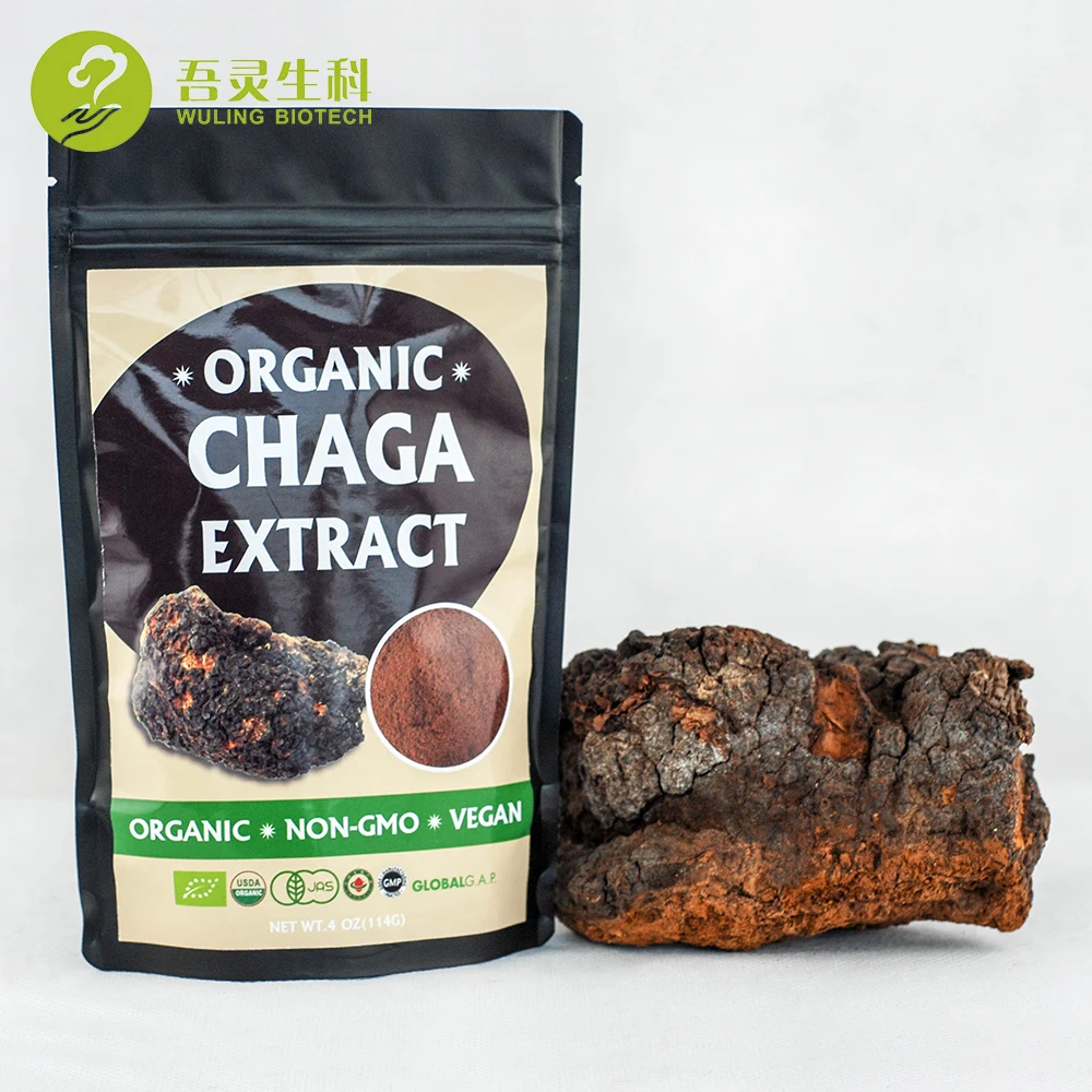 Herbal Supplement Bio Herbs Chaga Powder Wild Organic Chaga Mushroom