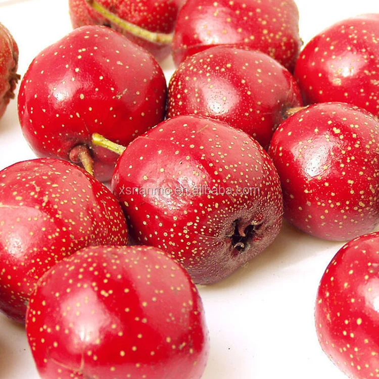 
Edible herbal medicine dried Hawthorn Maythorn 