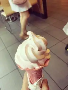 Maquinas De Helados  ( ice Cream Machines ) / ice Cream Manufacturing Equipment