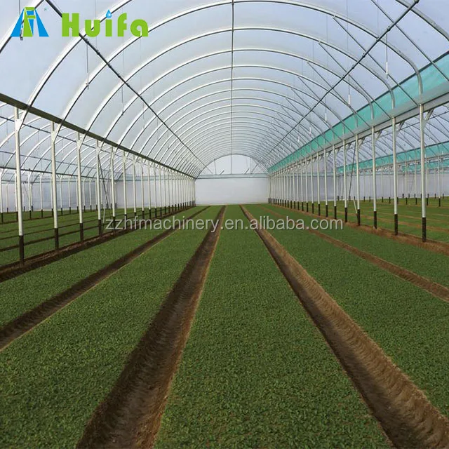 Estructura agricola de los invernaderos de Huifa para la venta