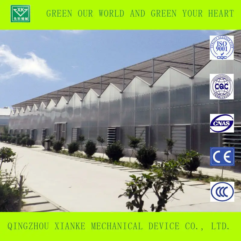 Steel structure frame greenhouse agricultural polycarbonate greenhouse for ecological agriculture for sale