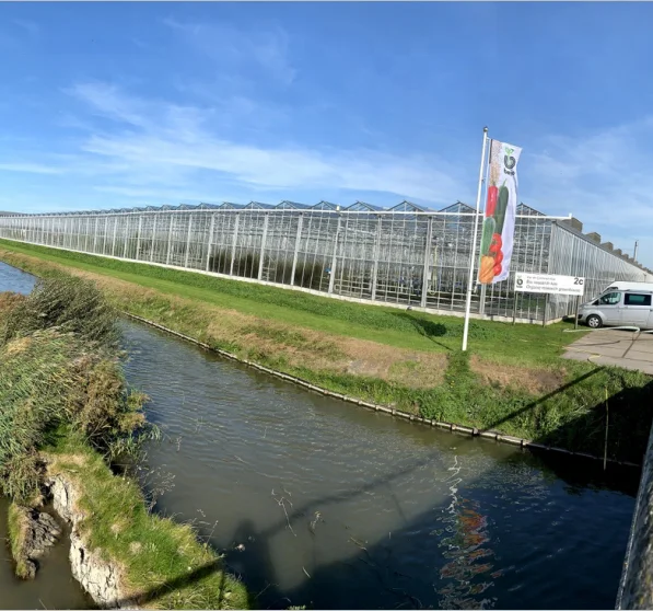 Hot-selling agricultural greenhouses Small greenhouses hydroponic greenhouse systemsare for sale