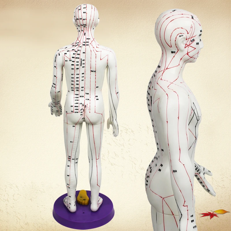 Chinese acupuncture model famale body for meridian and extraordinary points