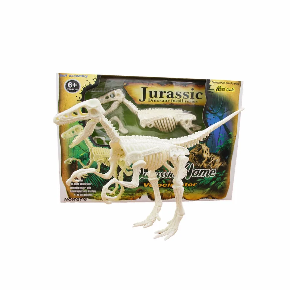 Chinese Manufacturer 3D Dinosaur Skeleton Fossil for Sale