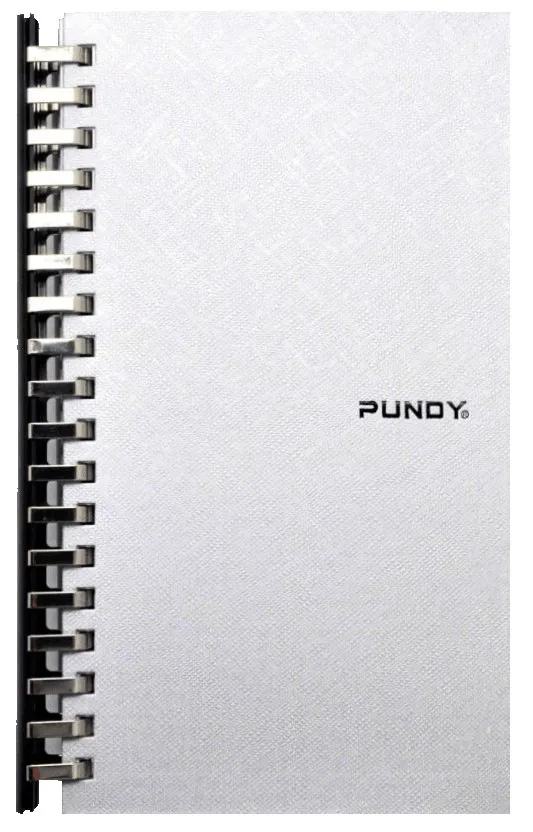 PUNDY fashionable fancy stone paper notebook