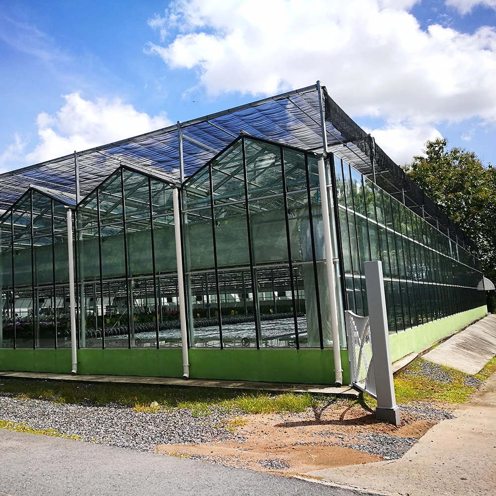 Natural ventilation vegetable seeding nursery glass greenhouse