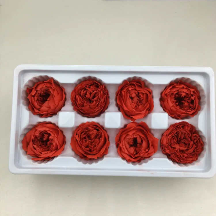 
Long Lasting Roses Preserved Flower Austin Rose for Decorative Flowers & Wreaths 
