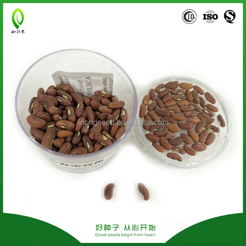 
Heat resistance long bean seeds, asparagus bean, snake bean 