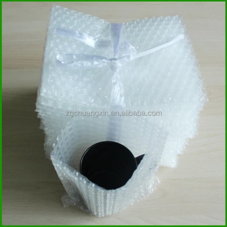 Inflatable Bubble Bag Bubble Air Film with Transparent Stand up Pouch LDPE Offset Printing Mailing Shock Resistance Accept