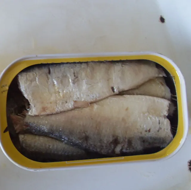 
good quality oval Canned sardine tin can from morocco 
