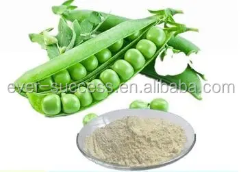 2017 China Factory Plant Protein 55%, 72%,80%,85% Pea Protein