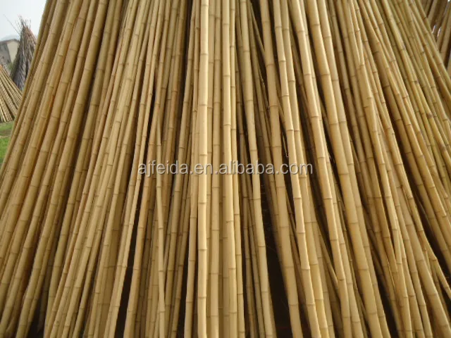 FD - 183233 Clean yellow nice looking decoration raw mao bamboo pole/ big bamboo pole