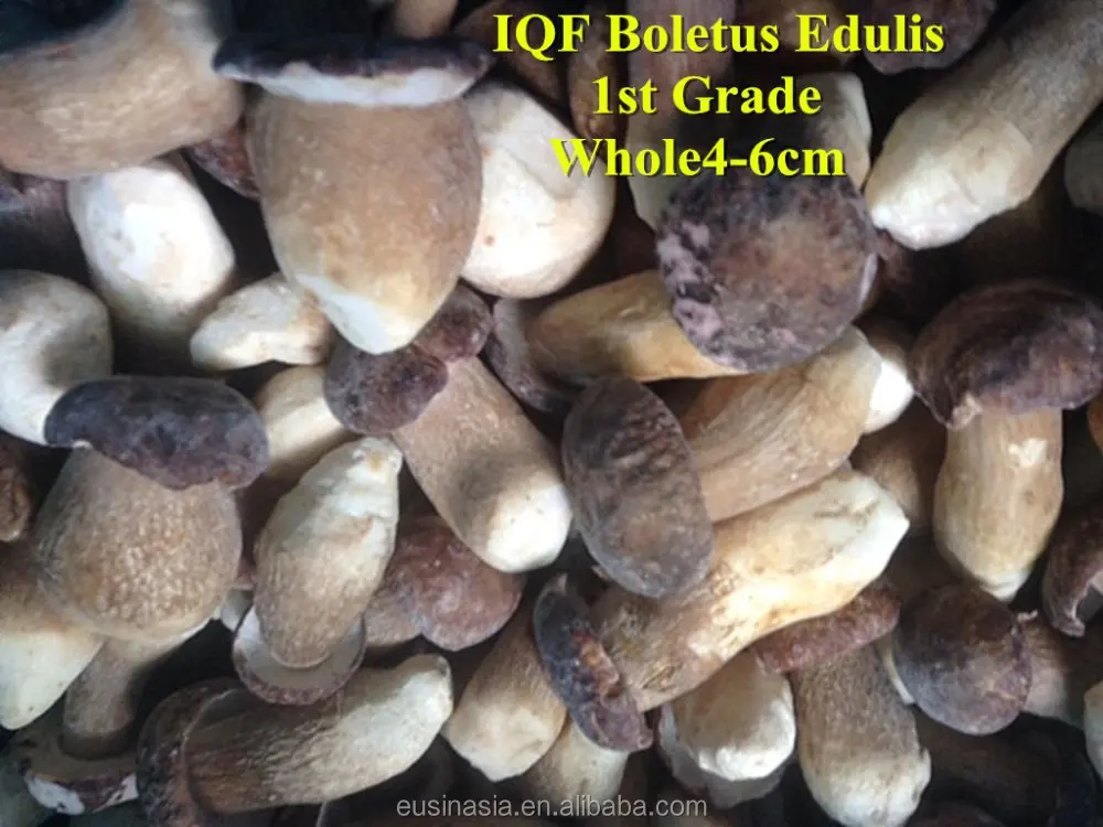
IQF Porcini Whole with Cheap Price 