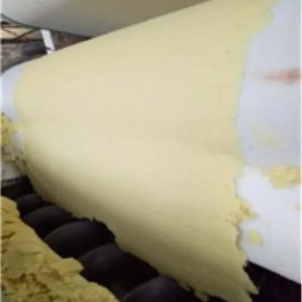 Professional Disposable Bagasse Pulp wit Low Price