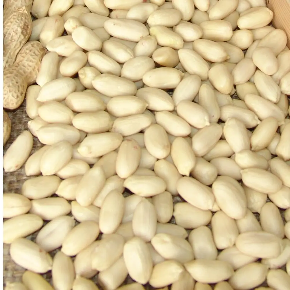 Wholesale raw organic blanched peanut for edible