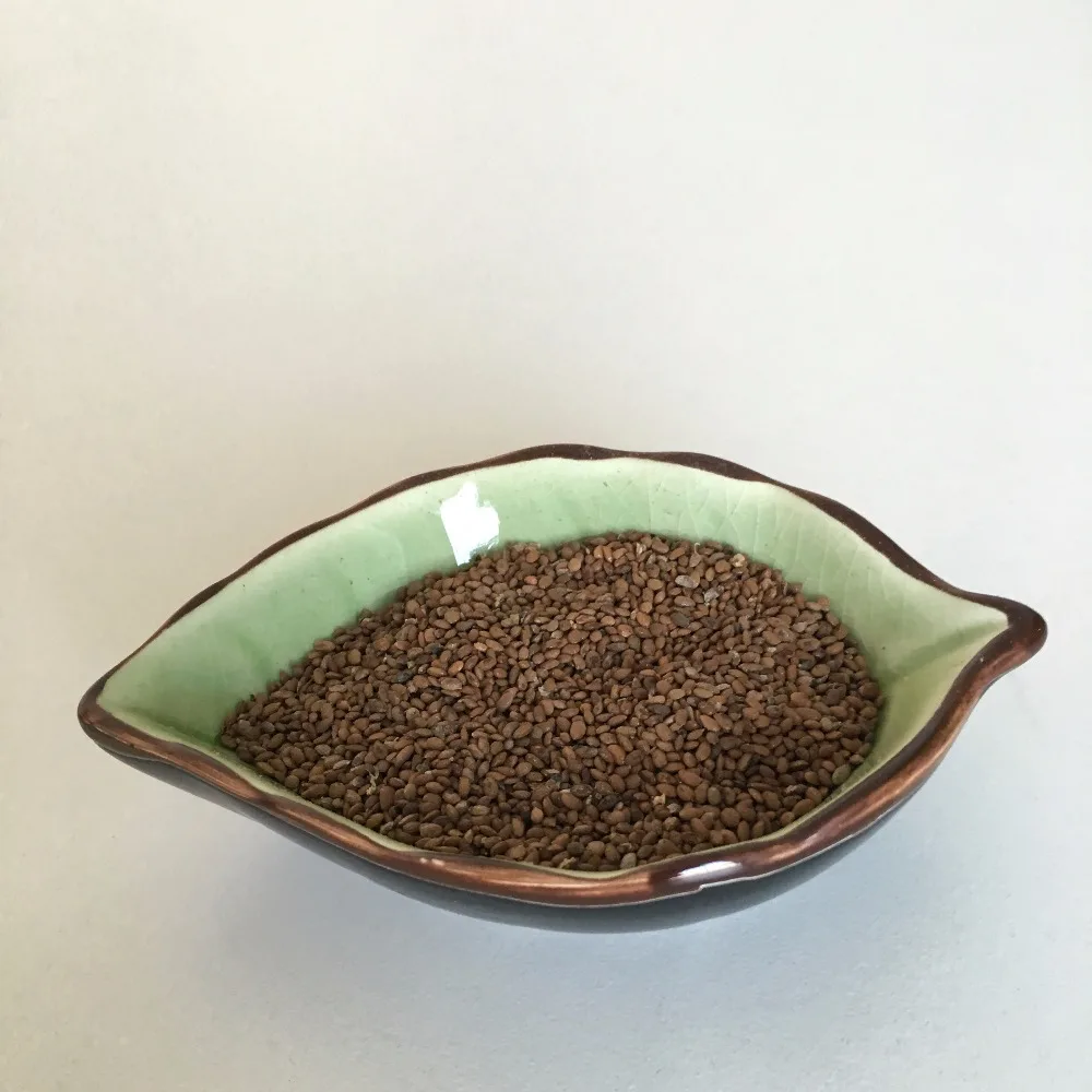 
S616 Mi Hou Tao Best Price tropical Planting Kiwi Tree Fruit Seeds 