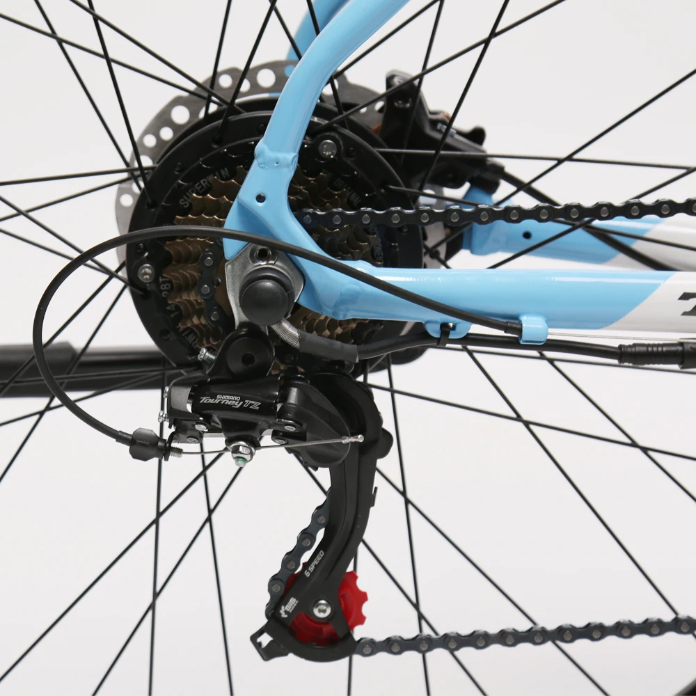 Mountain E Bike Electric Bicycle