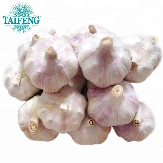 2024  New Crop of  Chinese Fresh garlic normal white garlic /pure white garlic /ajos exporters best price top quality