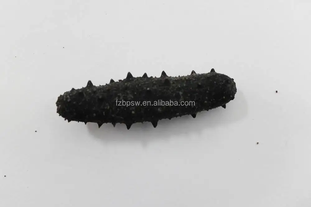 Highest Grade Dried Sea Cucumber,apostichopus japonicus In Fujian,China