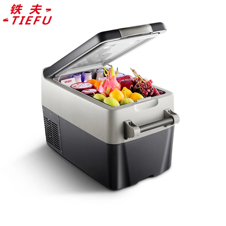 Wholesale 32l High Quality 12v Mini Refrigerator With Freezer For Truck