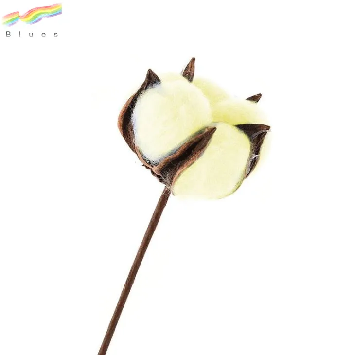 Natural Color Dried Flowers Cotton Stems  Small Fresh Dried Floral Bouquets Decoration