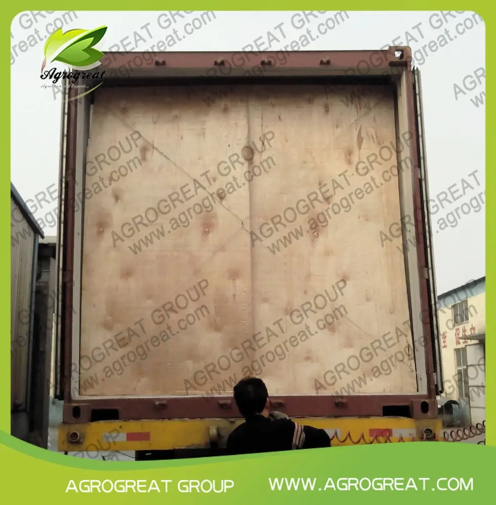 Nicosulfuron manufacturer, nicosulfuron 97% TC CAS Nicosulfuron factory price