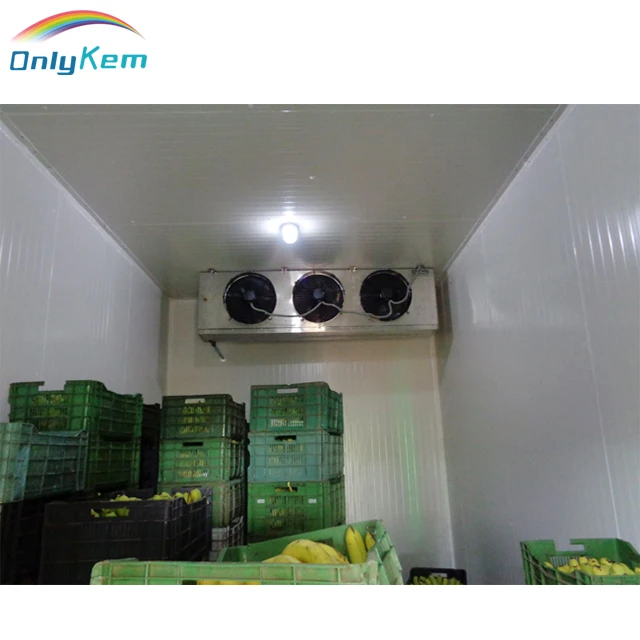 Склад для холодного хранения лука при низкой температуре