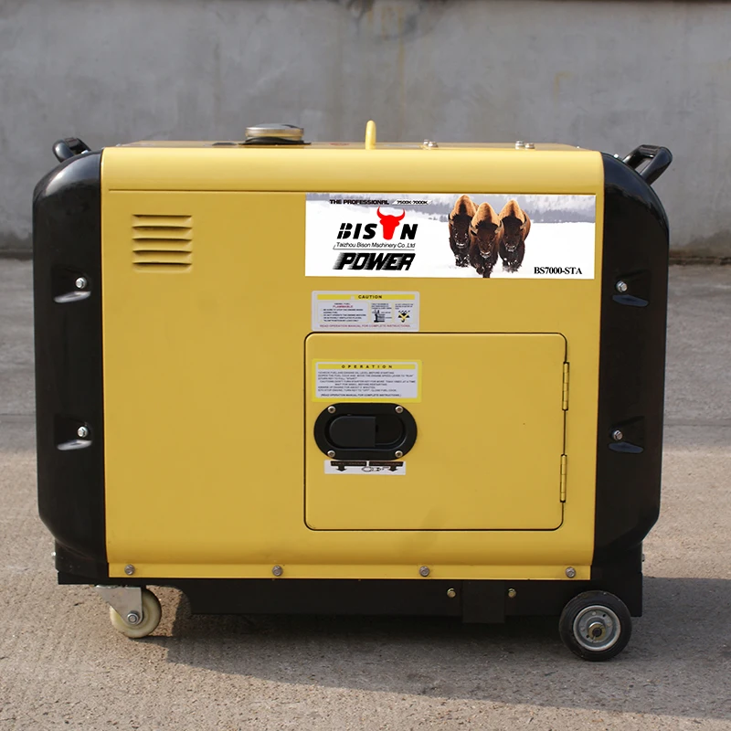BISON(CHINA) Power 5 Kilowatt Portable Diesel Generator Price 10hp diesel generator set