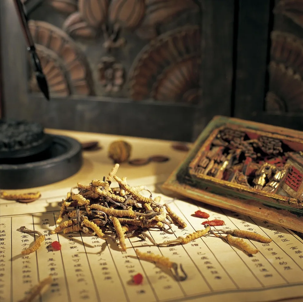 Solvent Extraction Tiens Cordyceps Mushroom Powder, Organic Cordyceps Militaris Mushroom