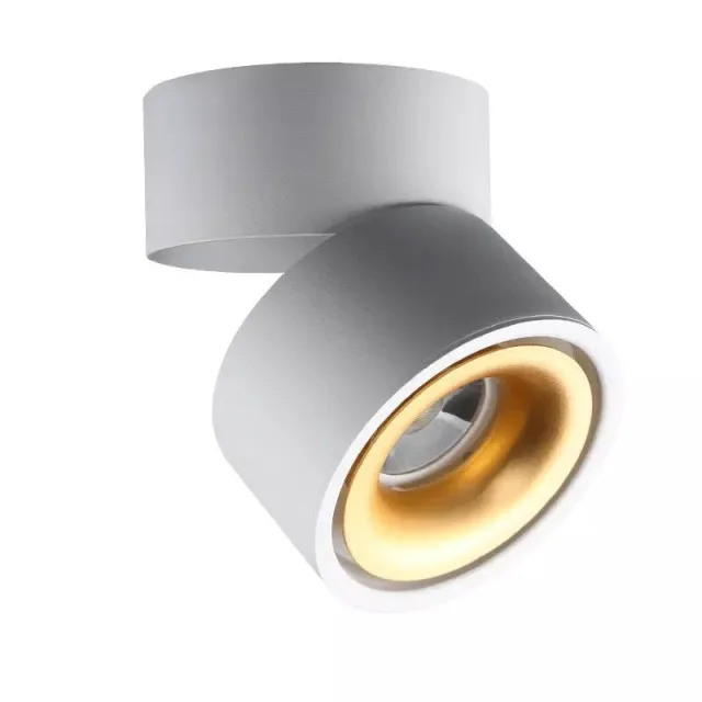 New design high quality 10w adjustable surface mounted downlight spot