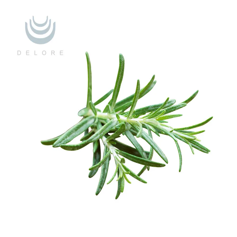 Best quality Natural /Supercritical CO2 extraction Rosemary plant extract Carnosic Acid
