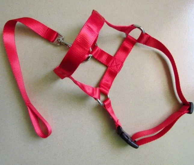 Pet Dog Nylon Adjustable Loop Bite Bark Control Easy Dog Mouth Muzzle