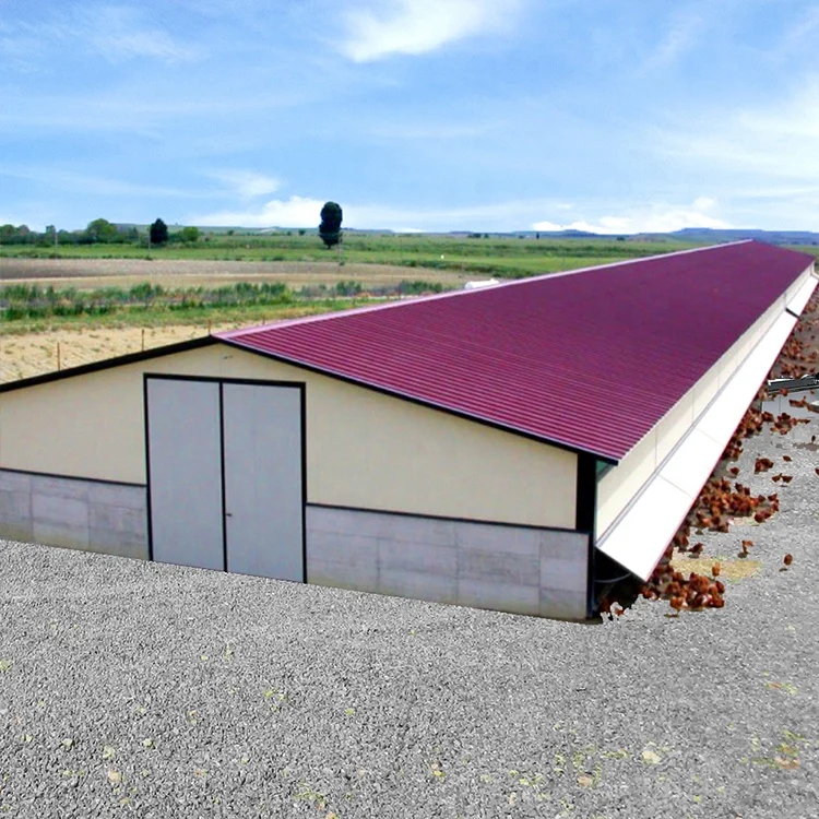 Sandwich panel material prefabricated fast building construction steel poultry house