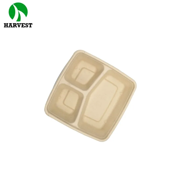 Bamboo Sugarcane Paper Square Biodegradable Compartment Plates