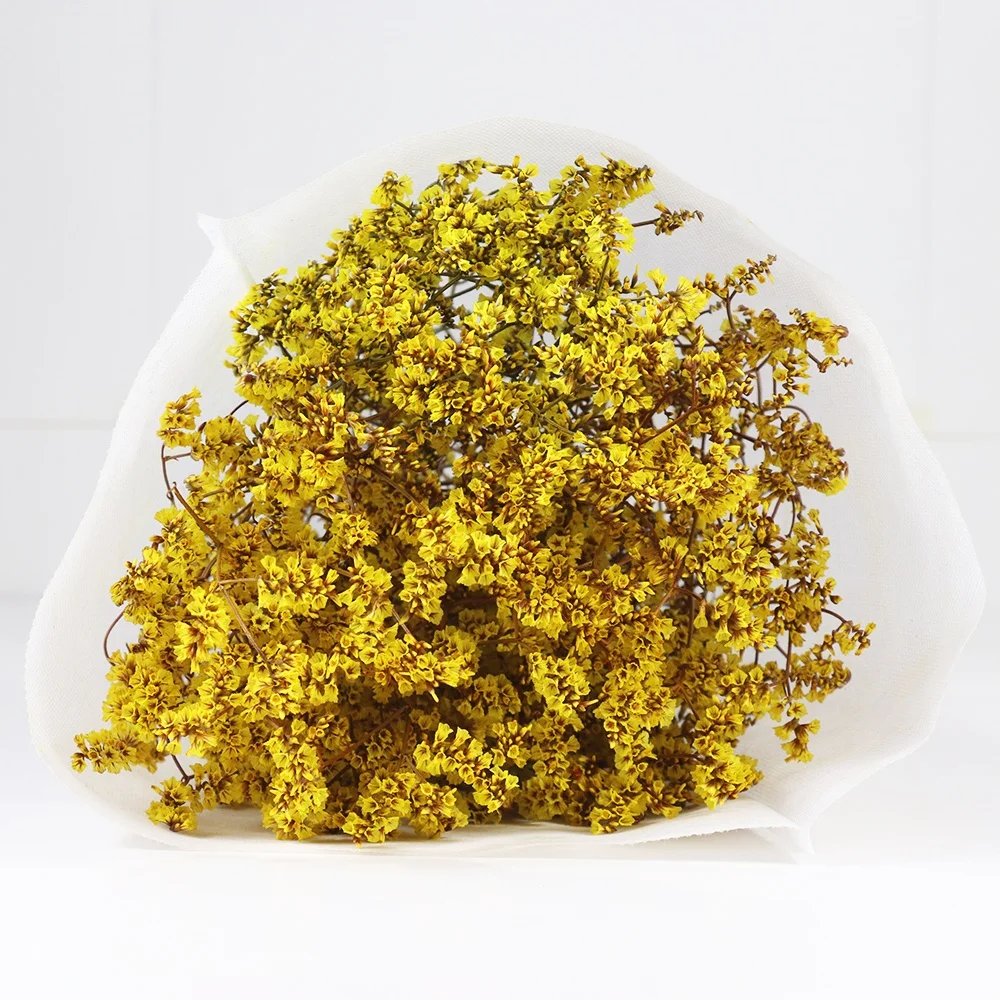 Preserved Everlasting Caspea Limonium  Multi-color For Portable Stage Decoration Backdrop Design lavender flowers dried
